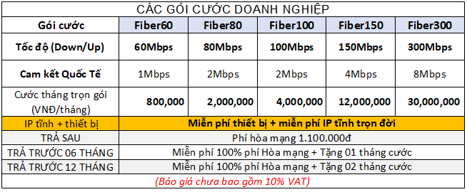 Khuyến mãi lắp mạng cáp quang VNPT Hà Nội cho Doanh nghiệp